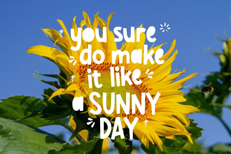 Smelly Peach Font preview image 4
