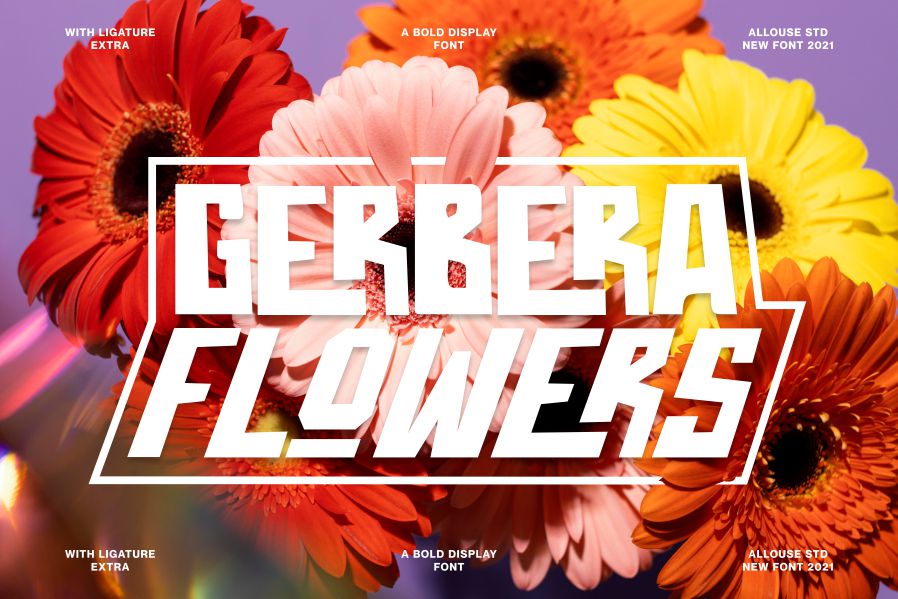 Throostle Font preview image 3