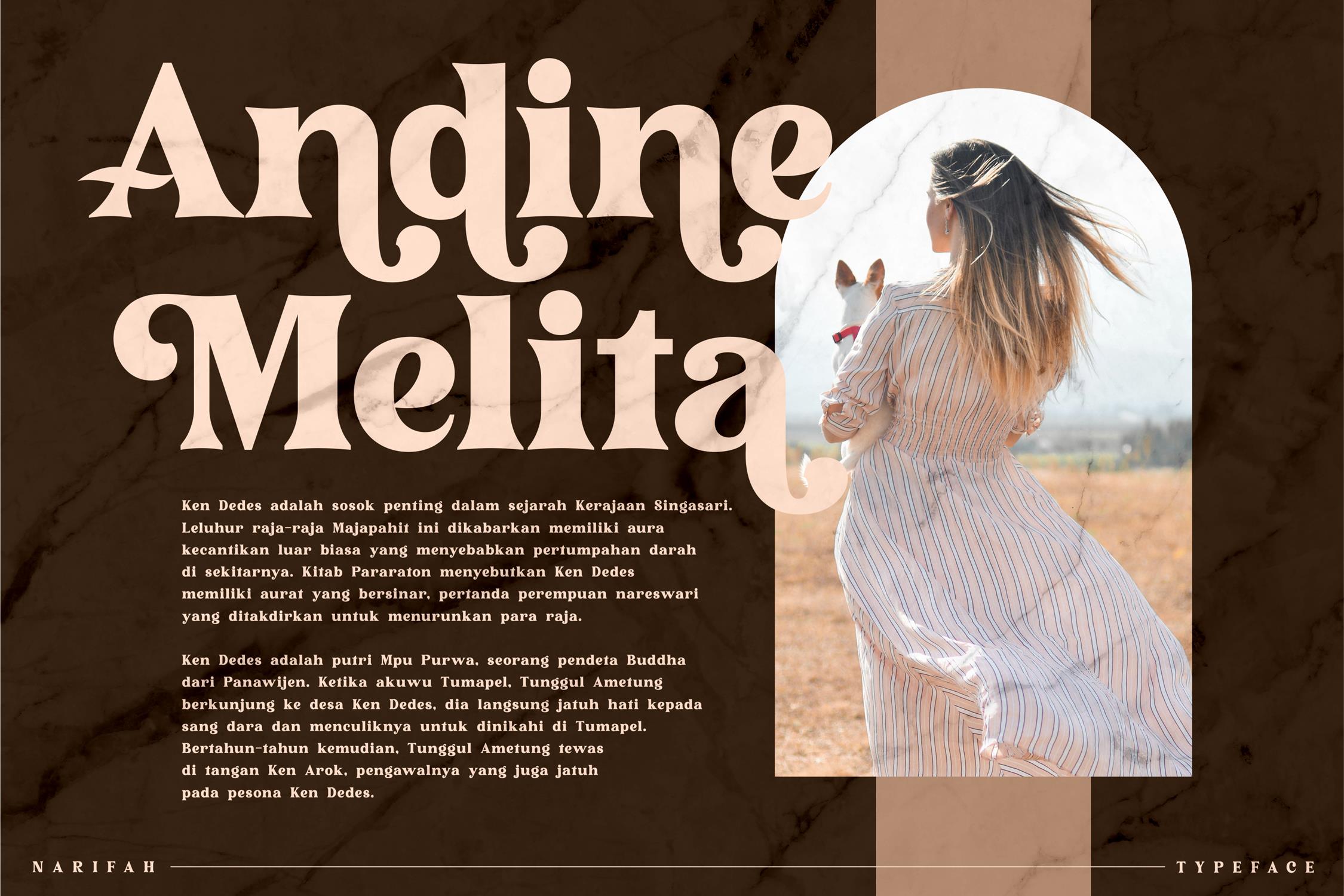 Narifah Modern Serif Font preview image 4
