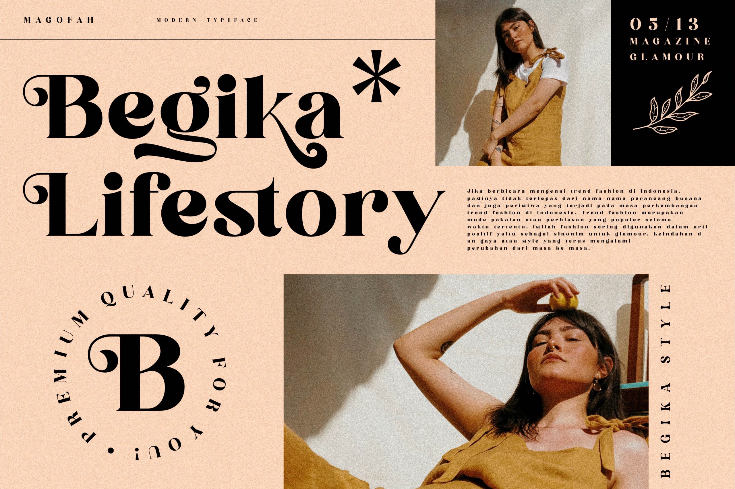 Begika Modern and Classy Serif Font preview image 4