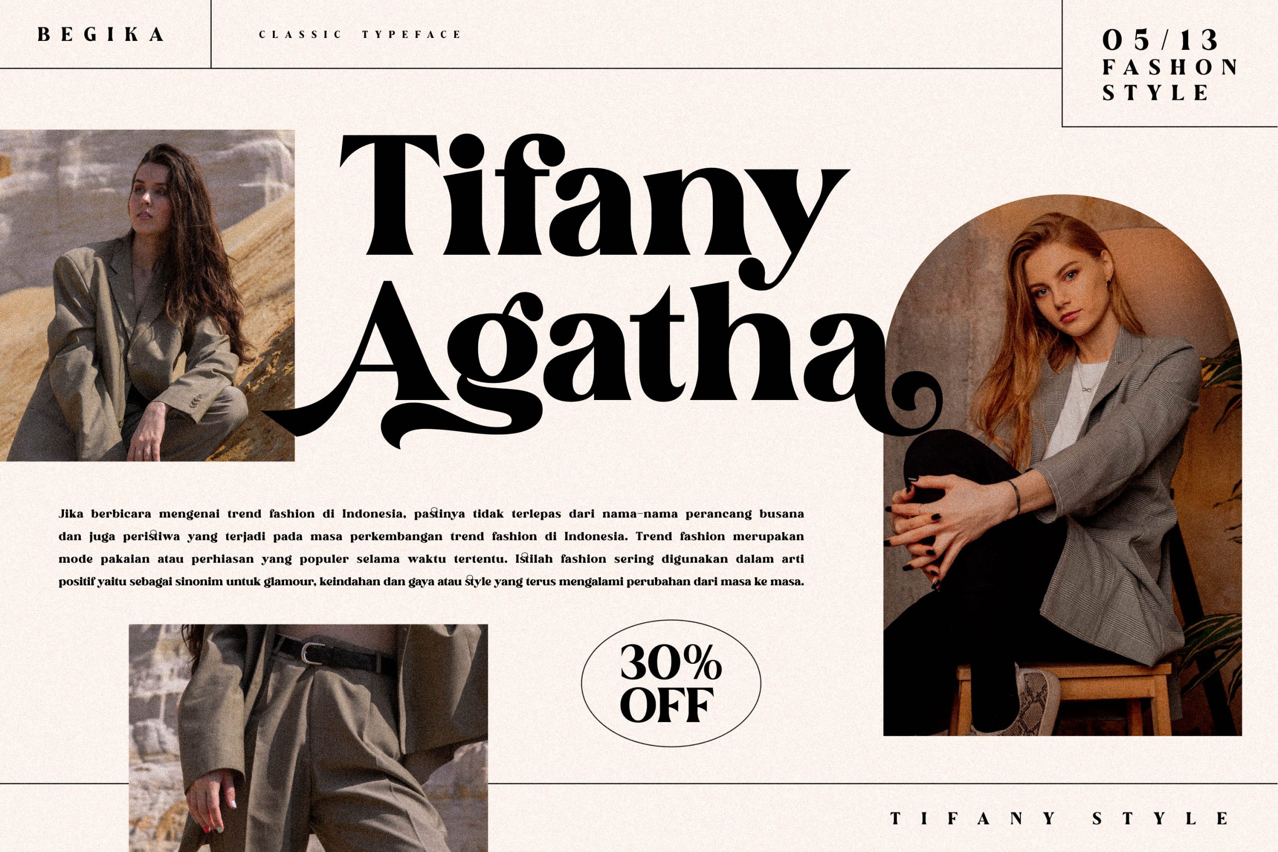 Fogsta Stylish Serif Font preview image 4