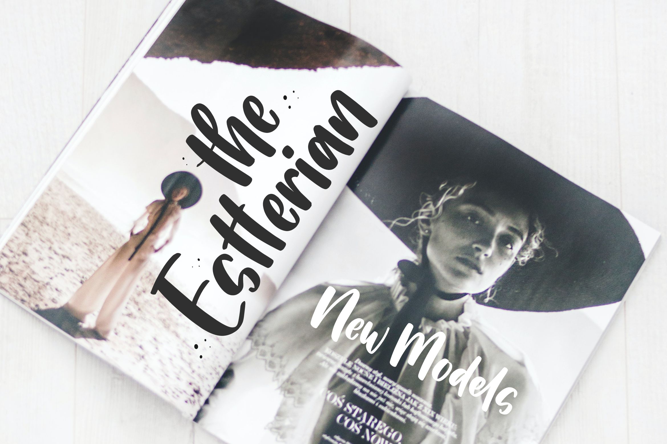 Bella Bold Font preview image 4