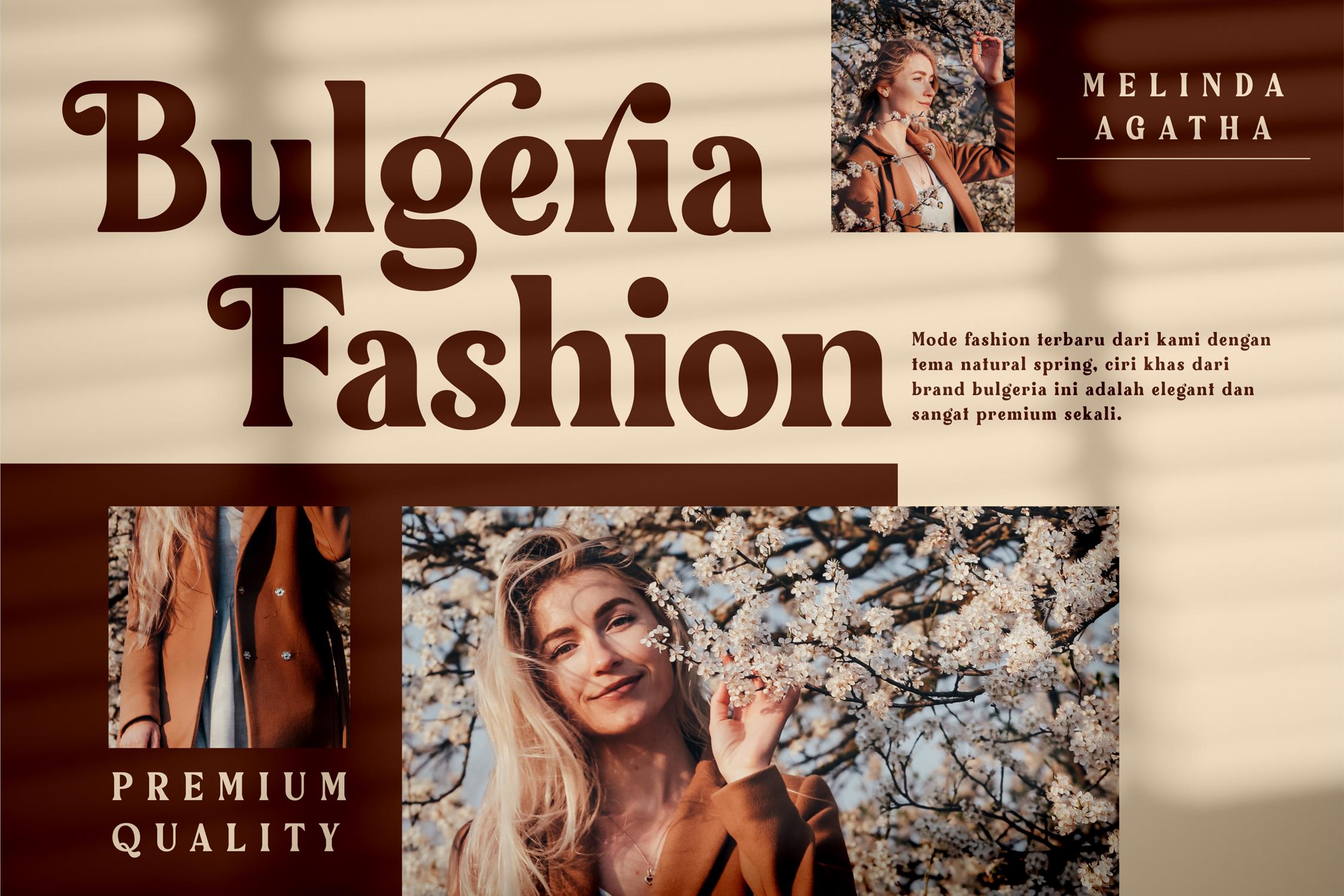 Bulgeria Classy Serif Font preview image 5