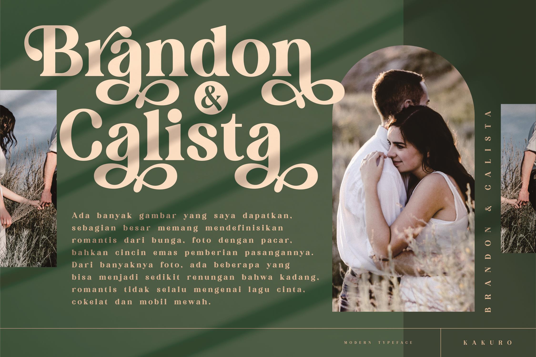 KAKURO Classy Serif Font preview image 5
