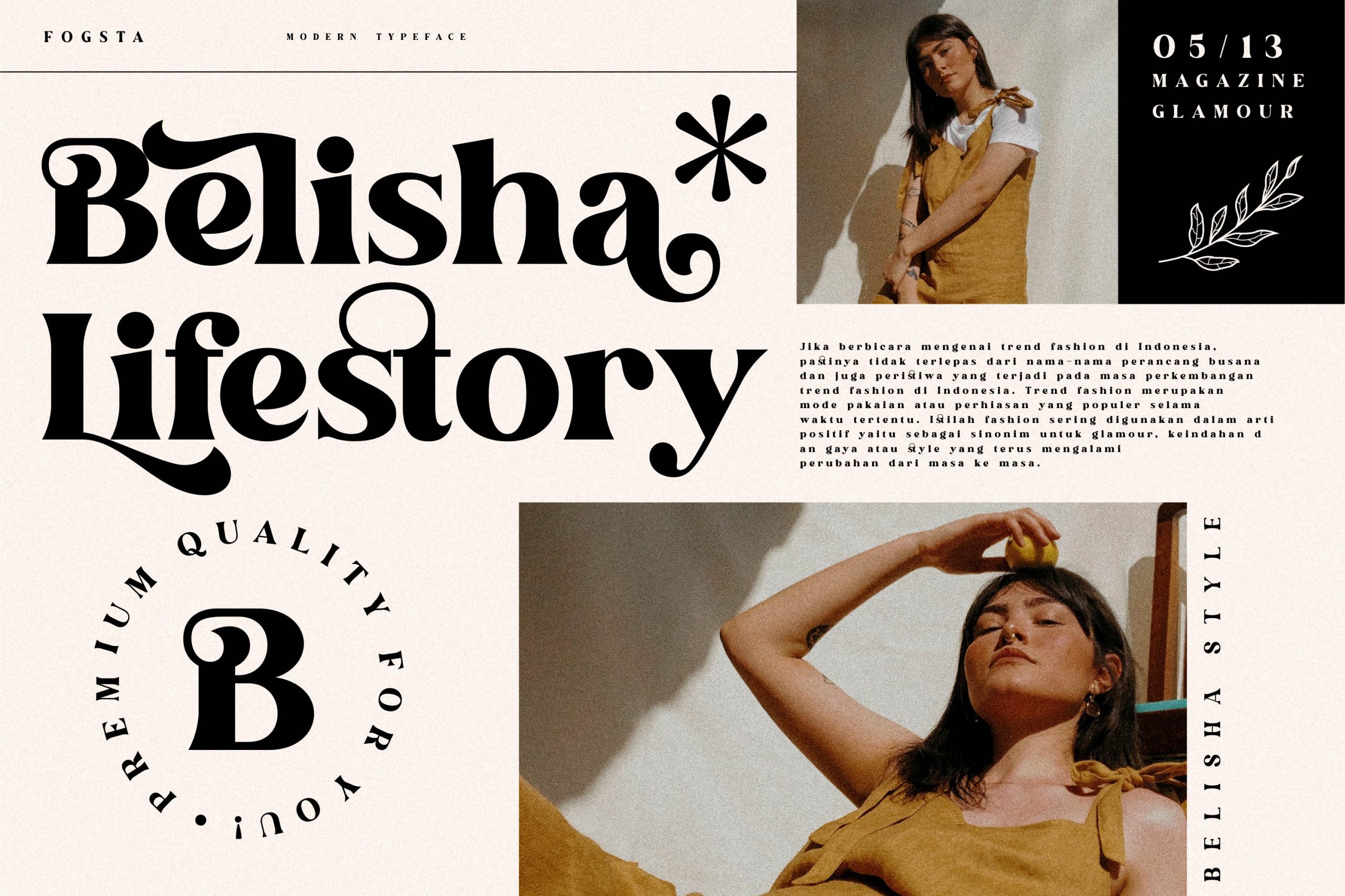 Fogsta Stylish Serif Font preview image 5