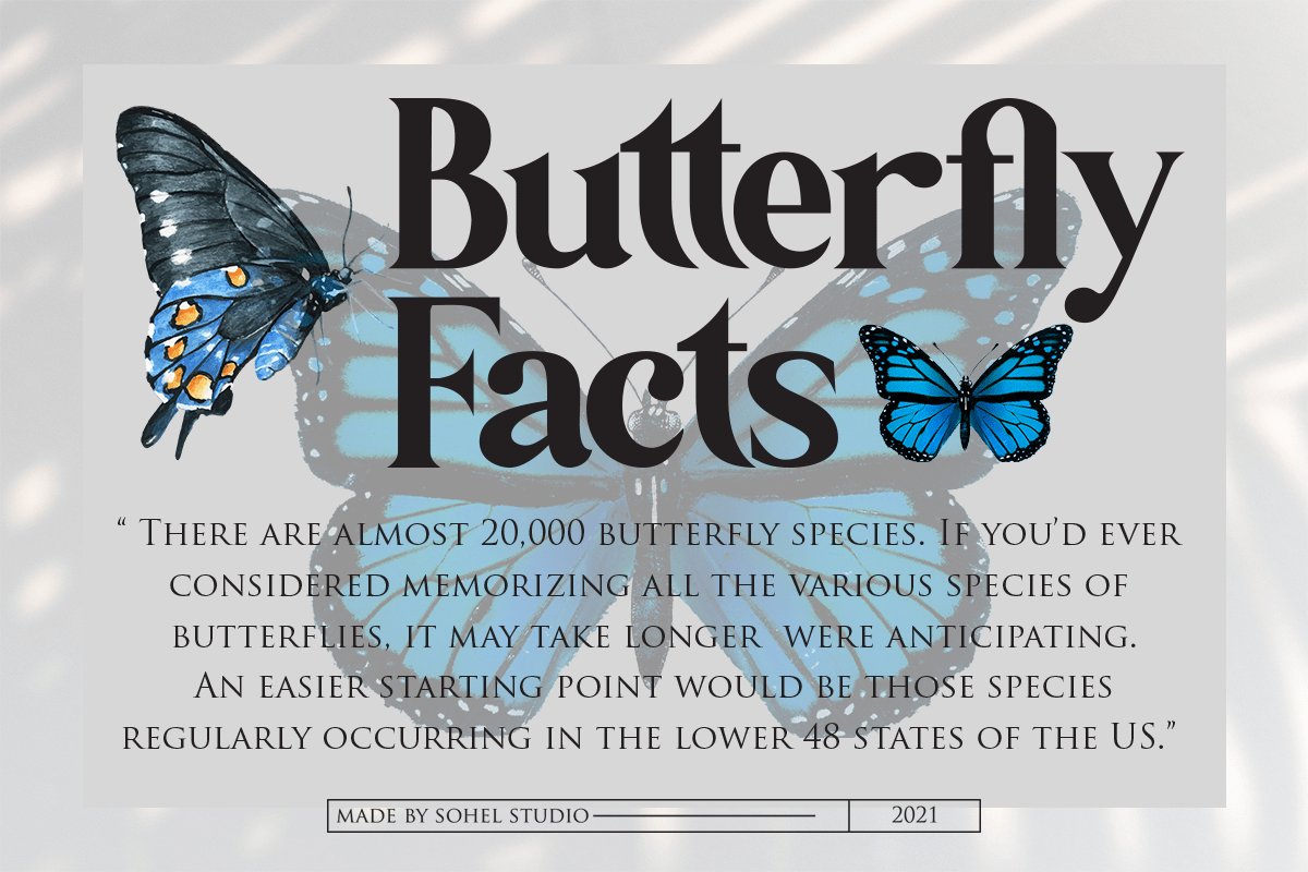 Botanist Font preview image 4