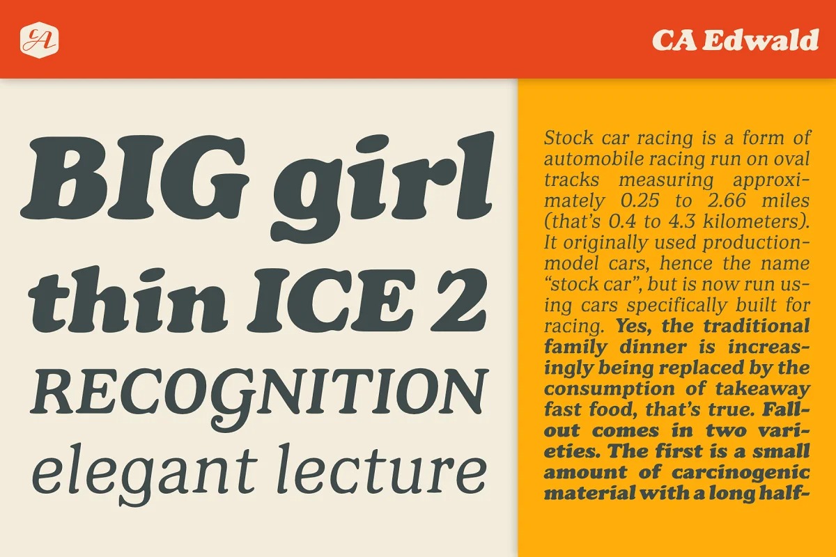 CA Edwald Font Family preview image 3