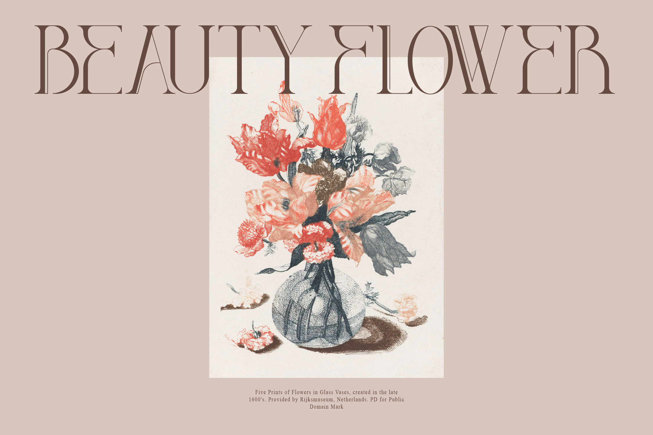 DIEGO Serif Font preview image 4