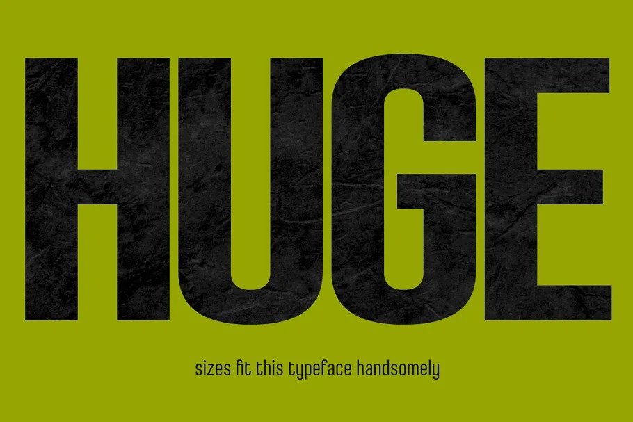 Densa Font Family preview image 2