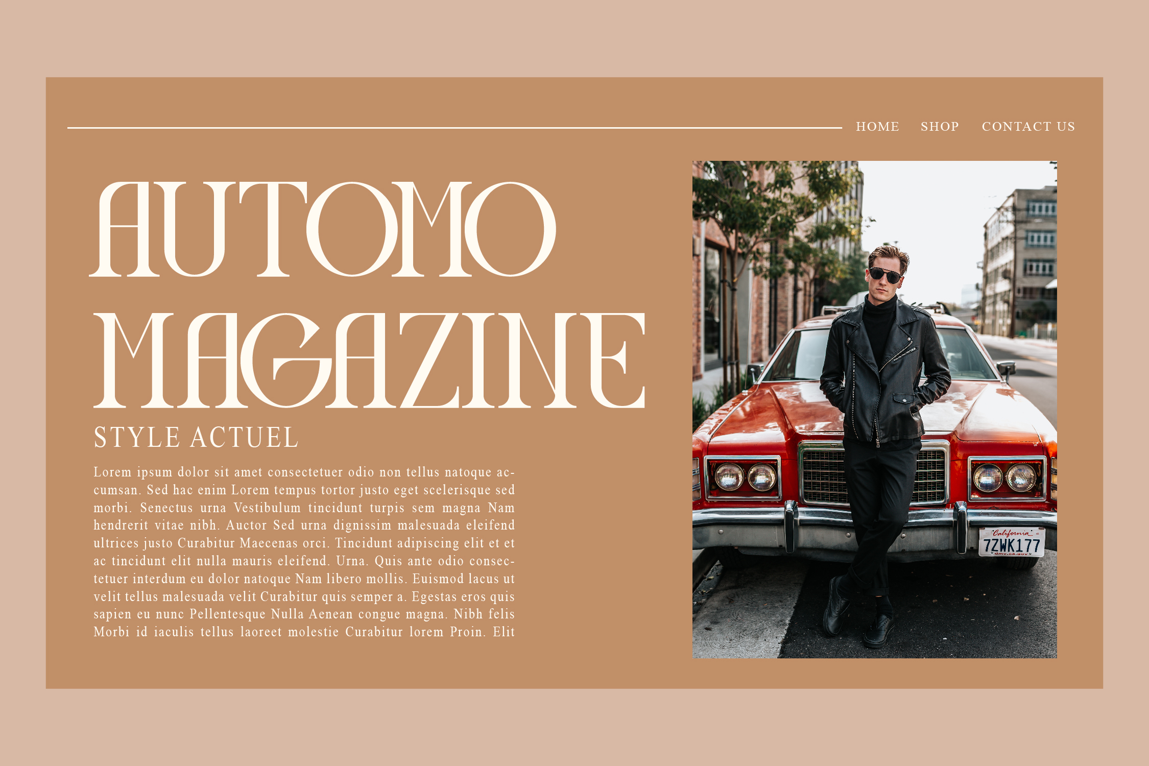 Display Magazine Serif Font preview image 2
