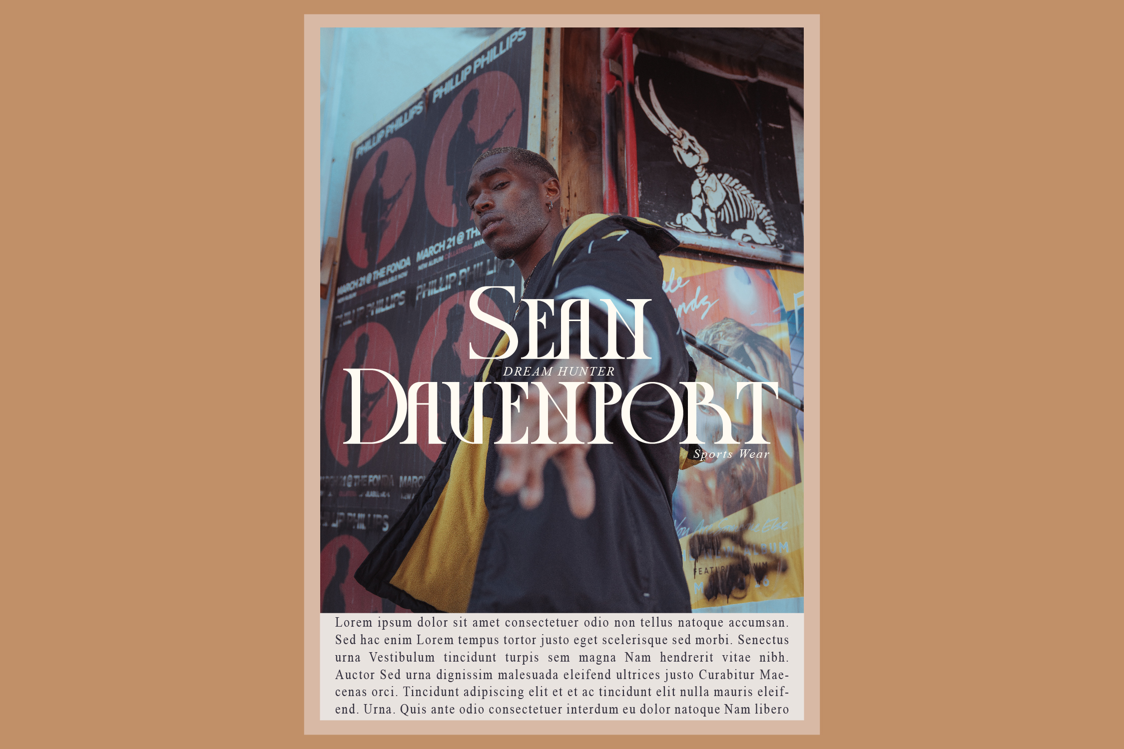 Display Magazine Serif Font preview image 3
