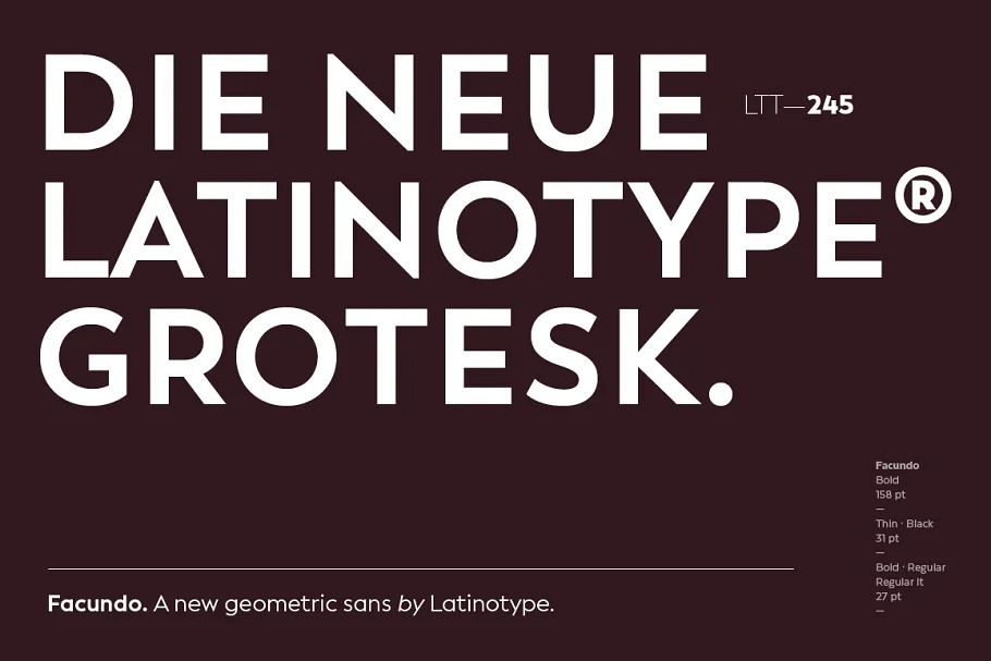Facundo Font Family preview image 2