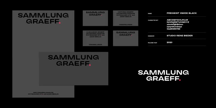 Freigeist Font Family preview image 3