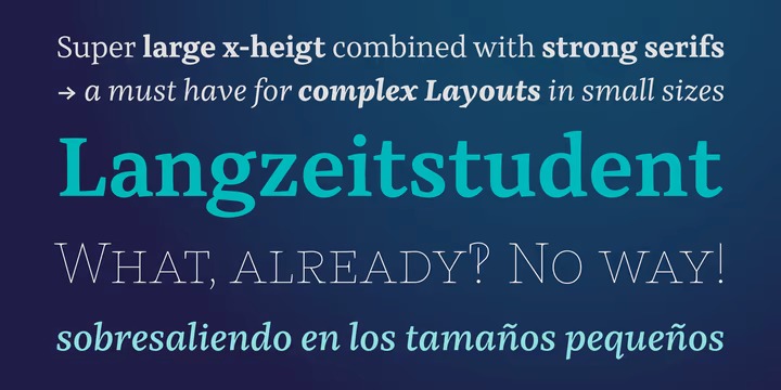 Kaius Pro Font Family preview image 4