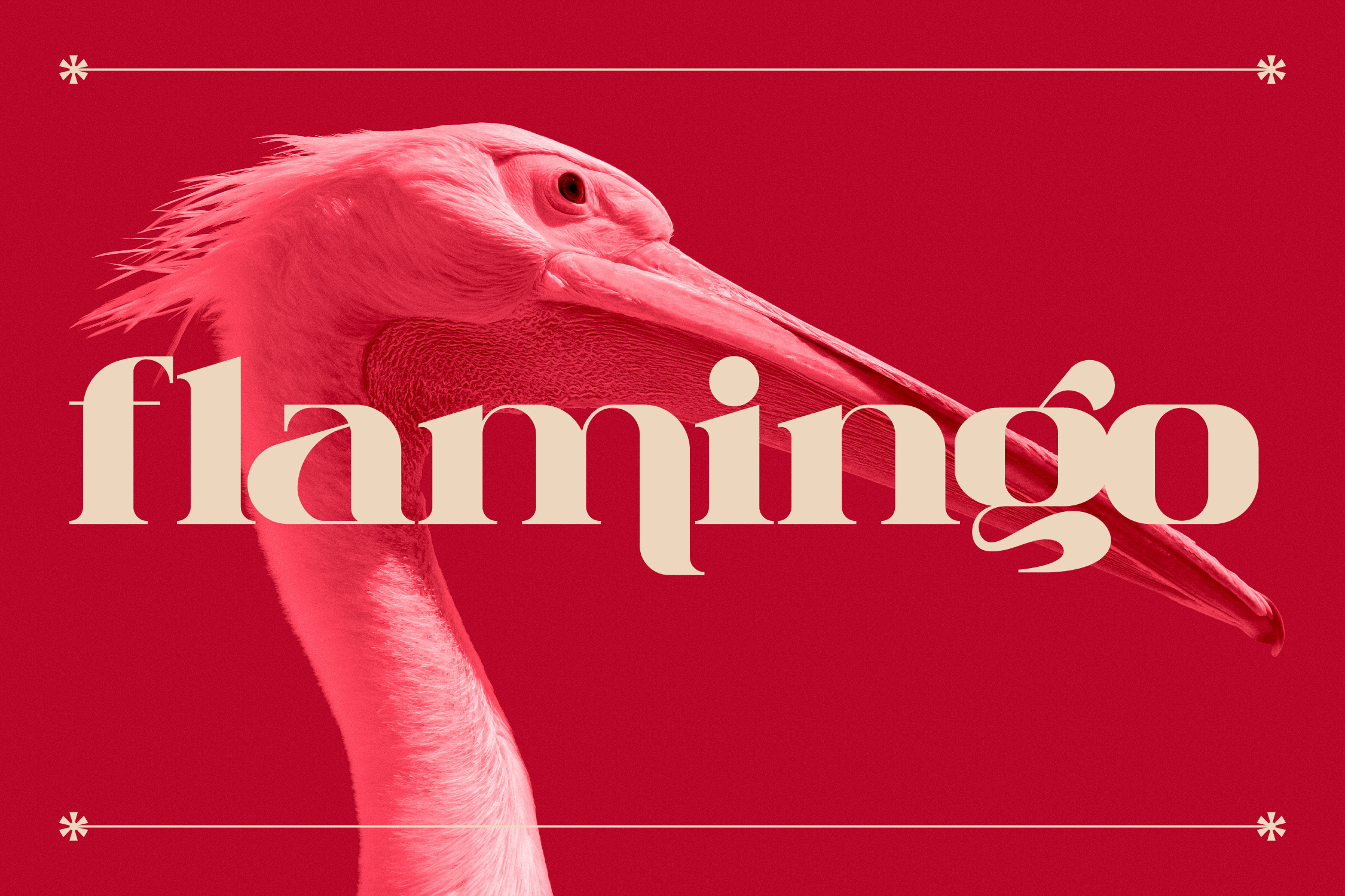 Milgnite Serif Font preview image 5