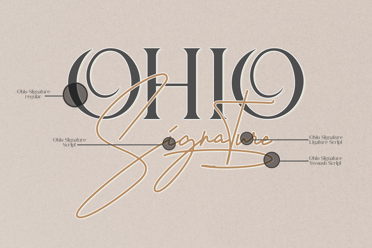 Ohio Signature Font Duo preview image 5