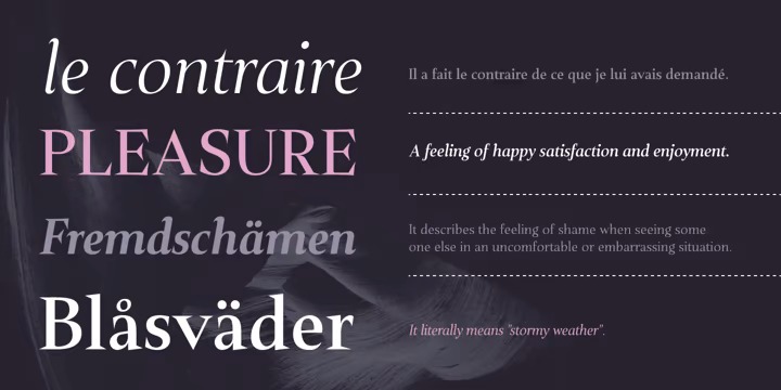 Plaisir Font Family preview image 3