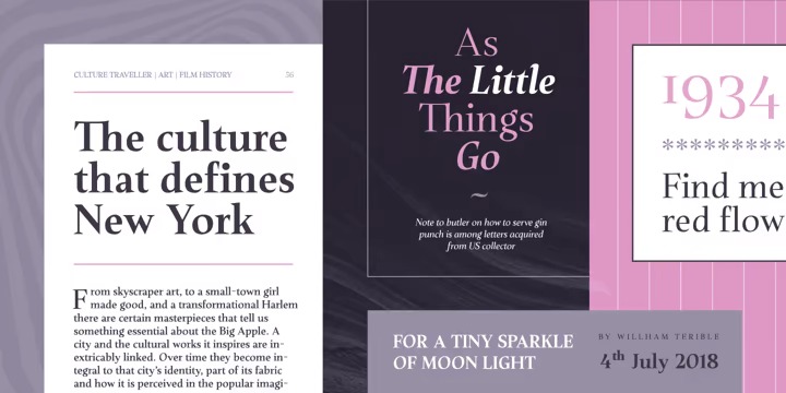 Plaisir Font Family preview image 2