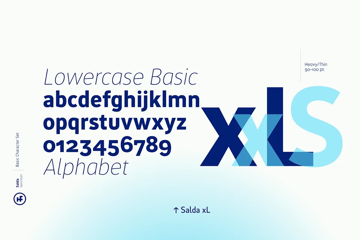 Salda Font Family preview image 4