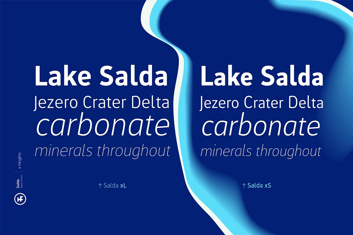 Salda Font Family preview image 3