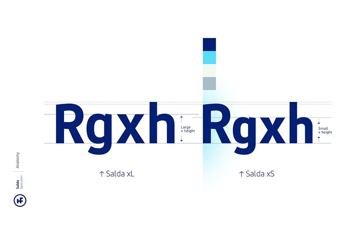 Salda Font Family preview image 2