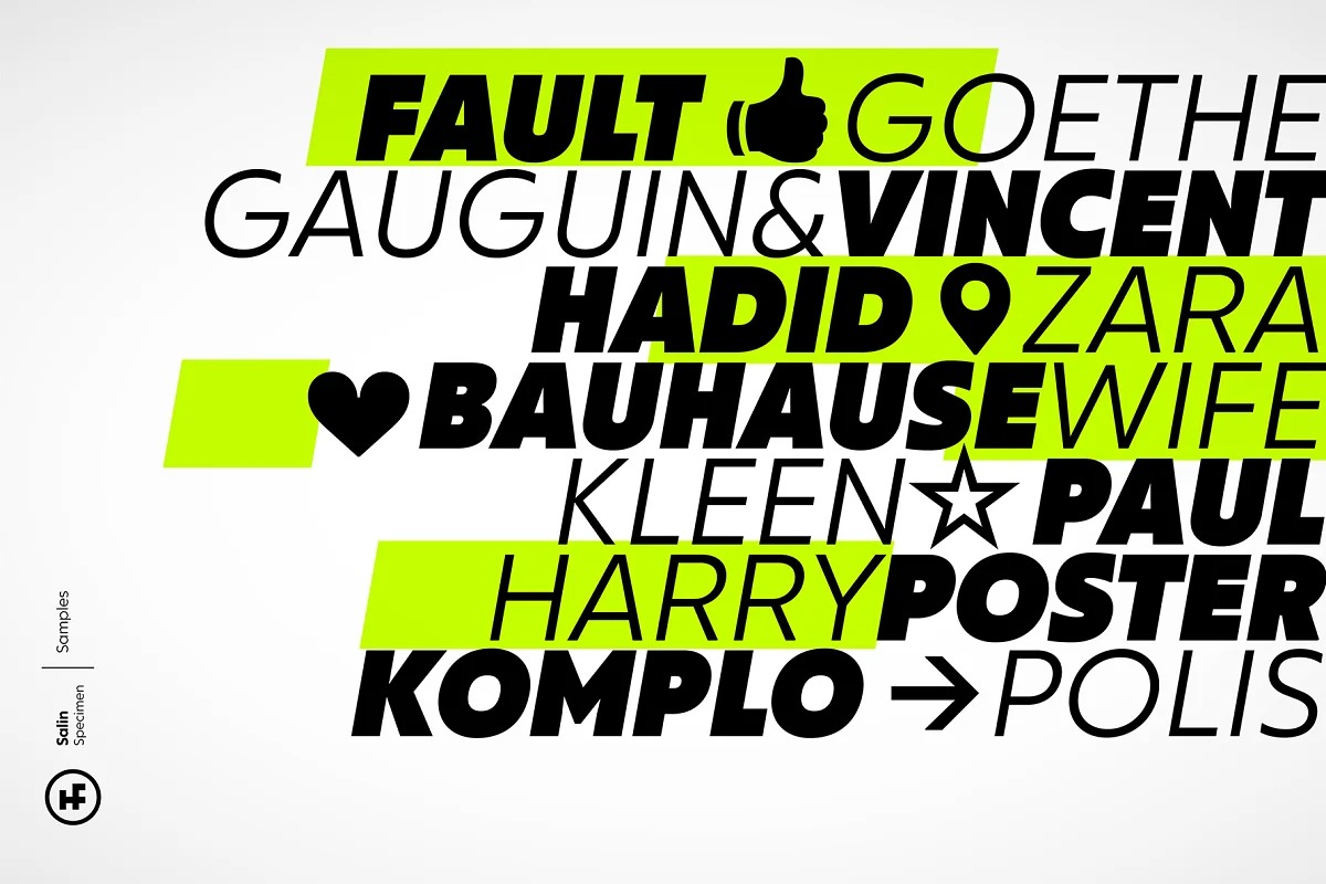 Salin Font Family preview image 4