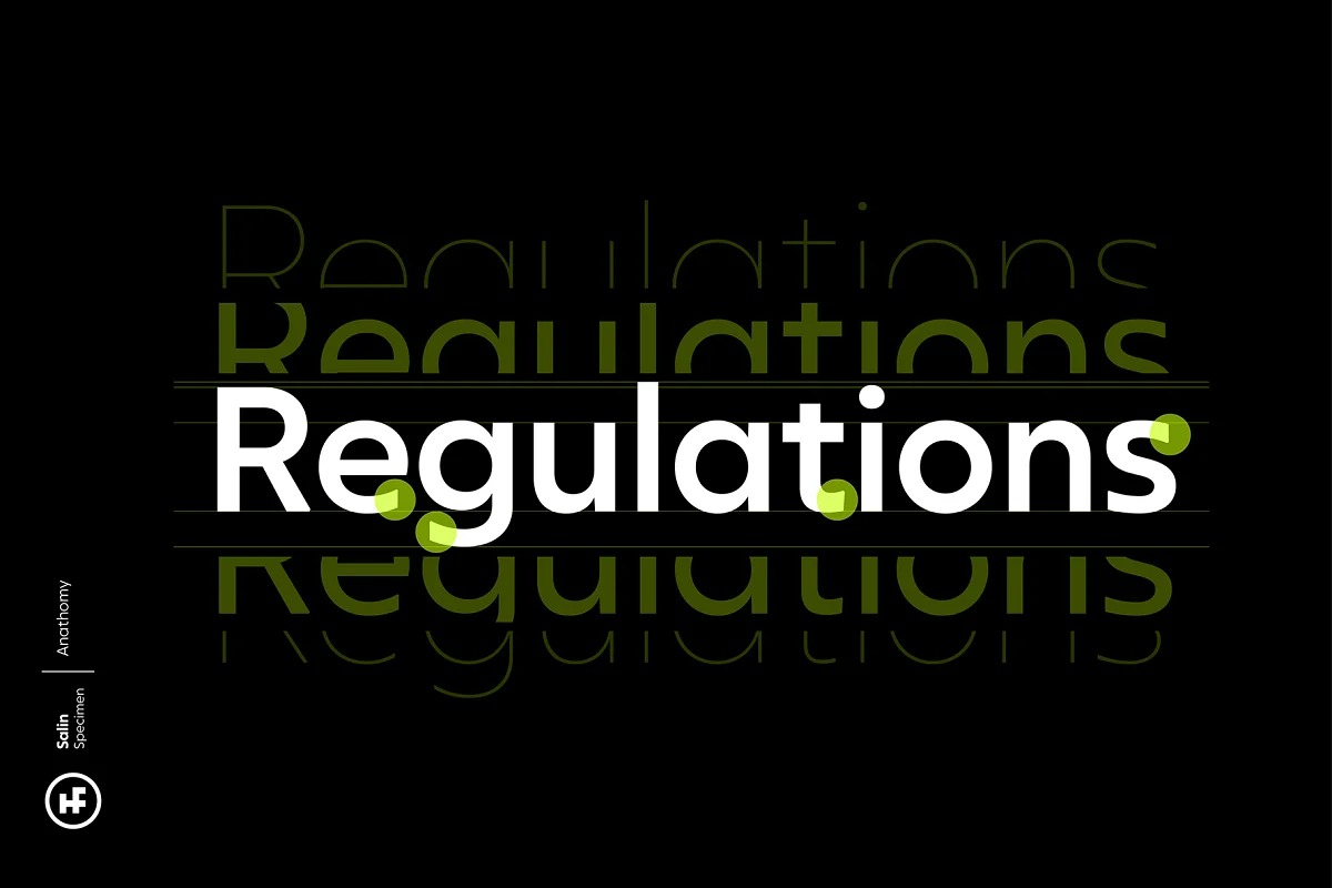 Salin Font Family preview image 3