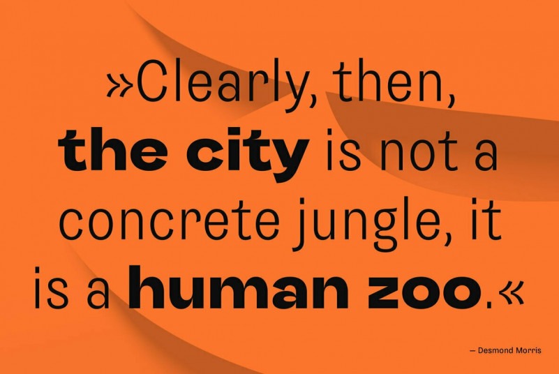 Sombra Font Family preview image 2