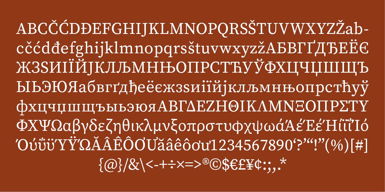 Source Serif 4 Font Family preview image 2