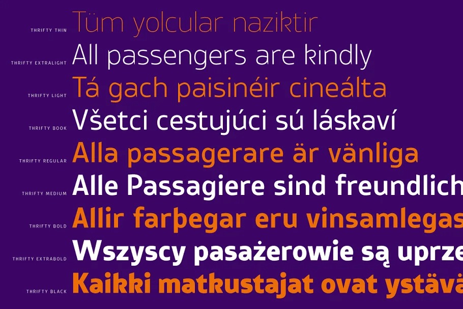 Thrifty Font Family preview image 2