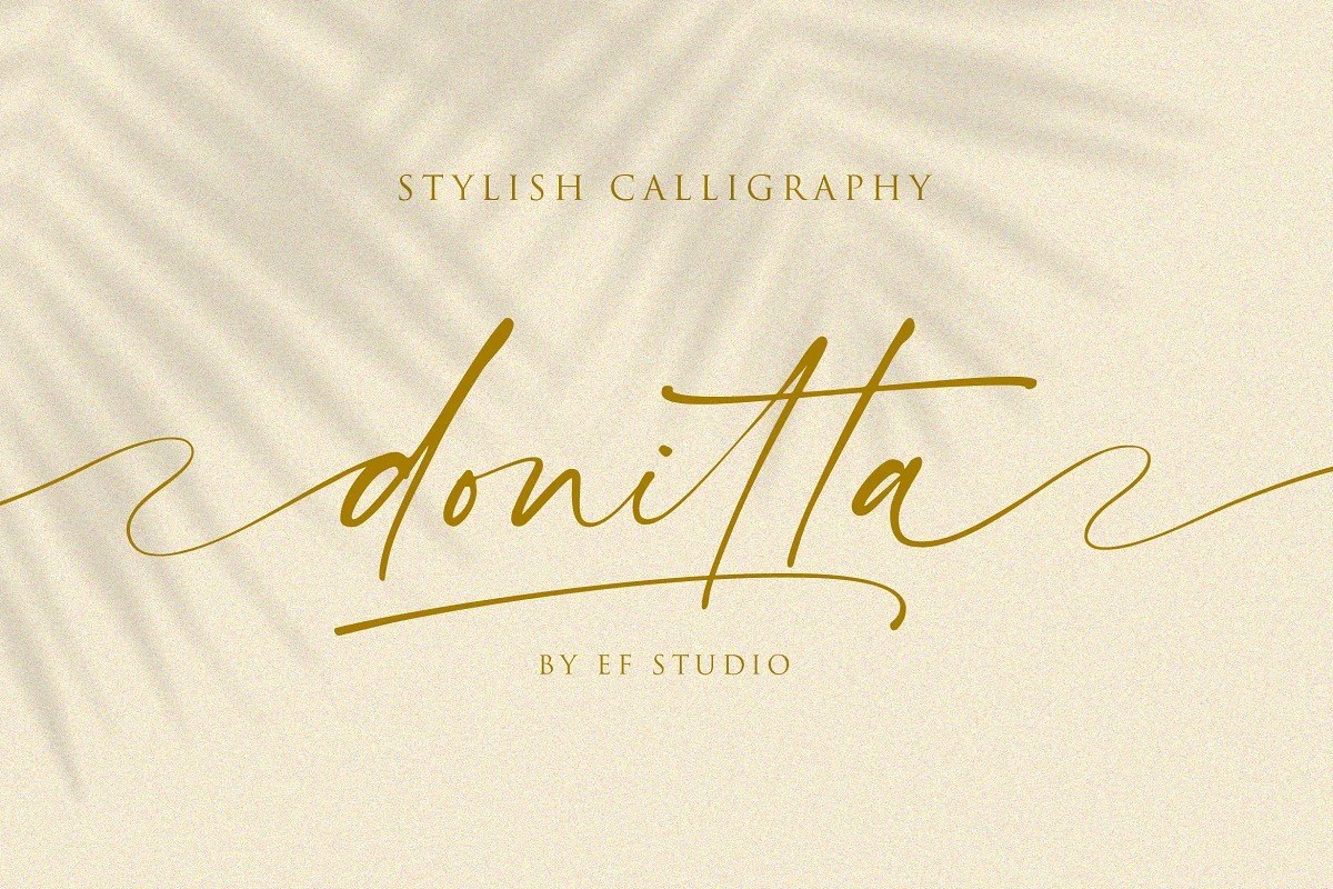 Donitta Handwritten Font