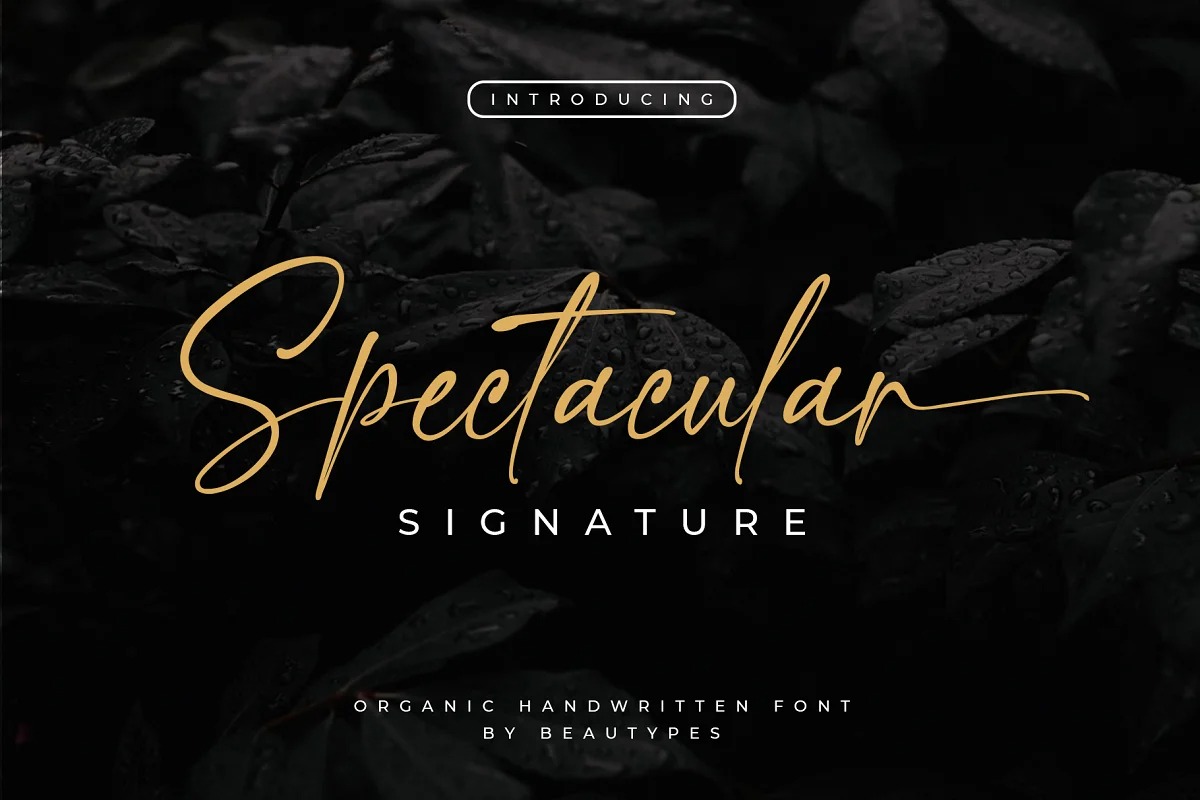 Spectacular Handwritten Font