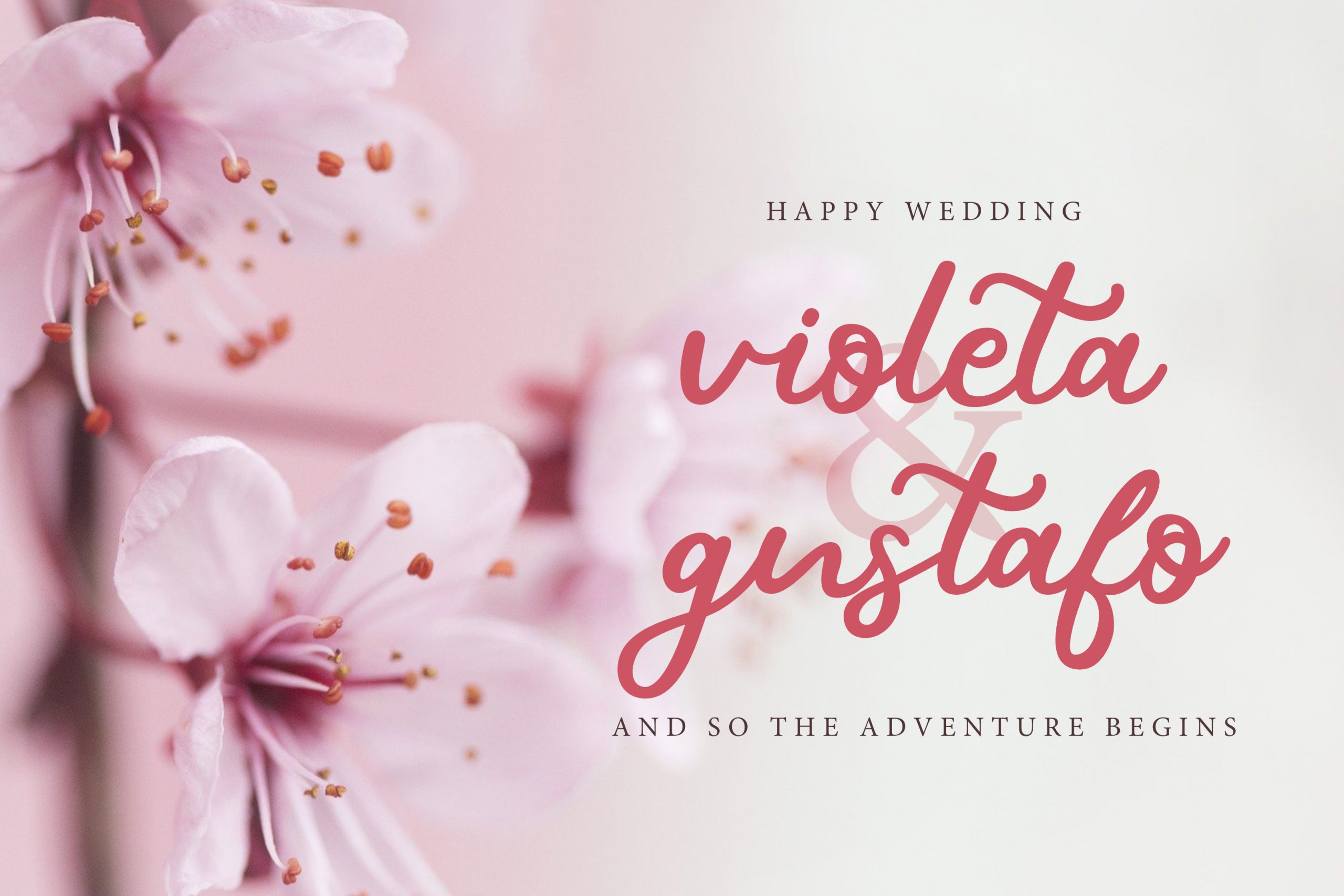 Bethyna Font preview image 3