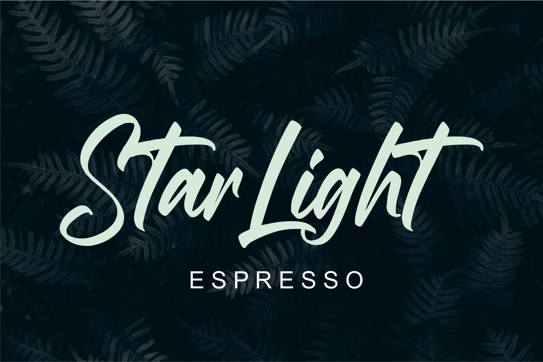Roasting Script Font preview image 2