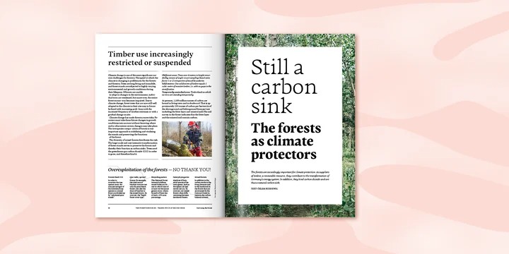 Adelbrook Font Family preview image 3