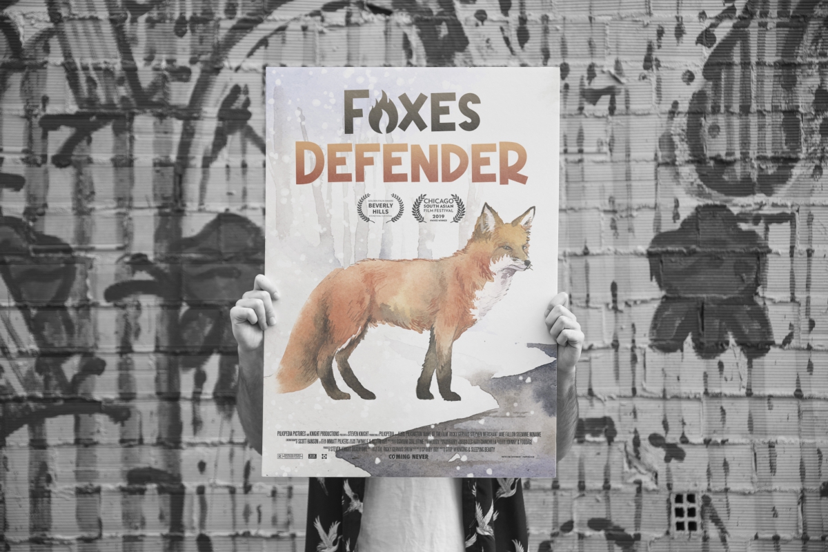Fire Foxes Font preview image 5