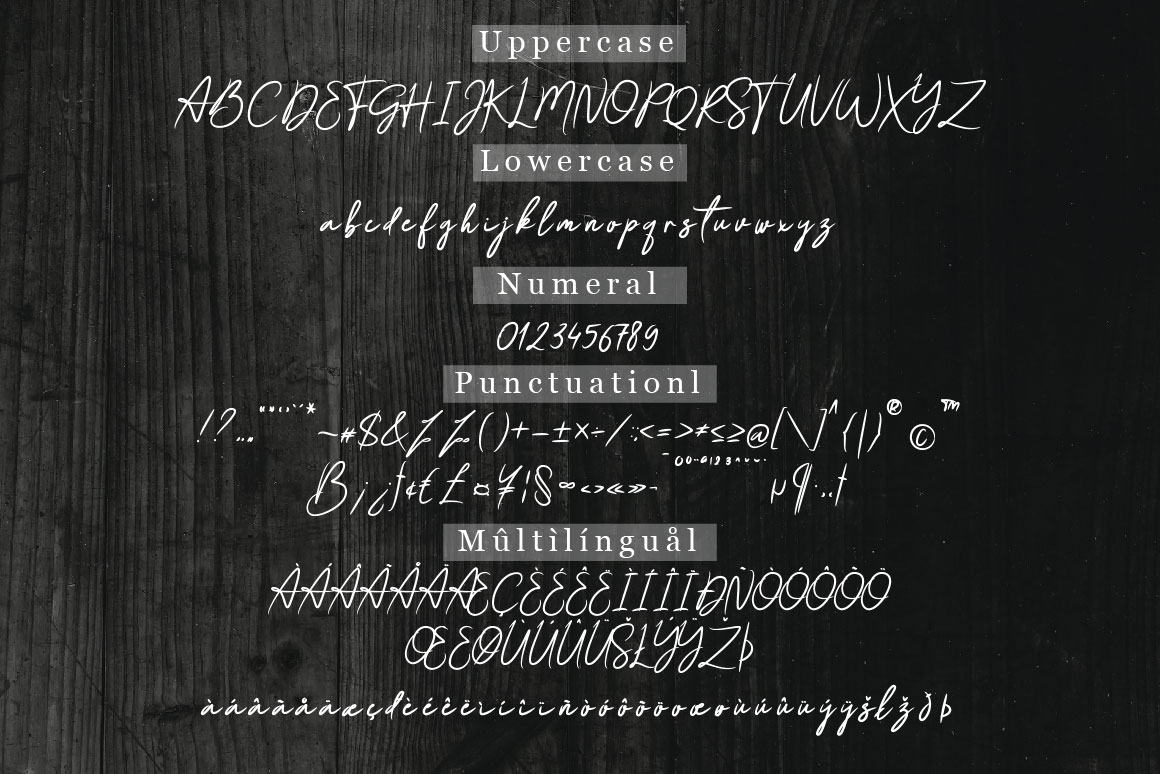 Gishela Font preview image 5