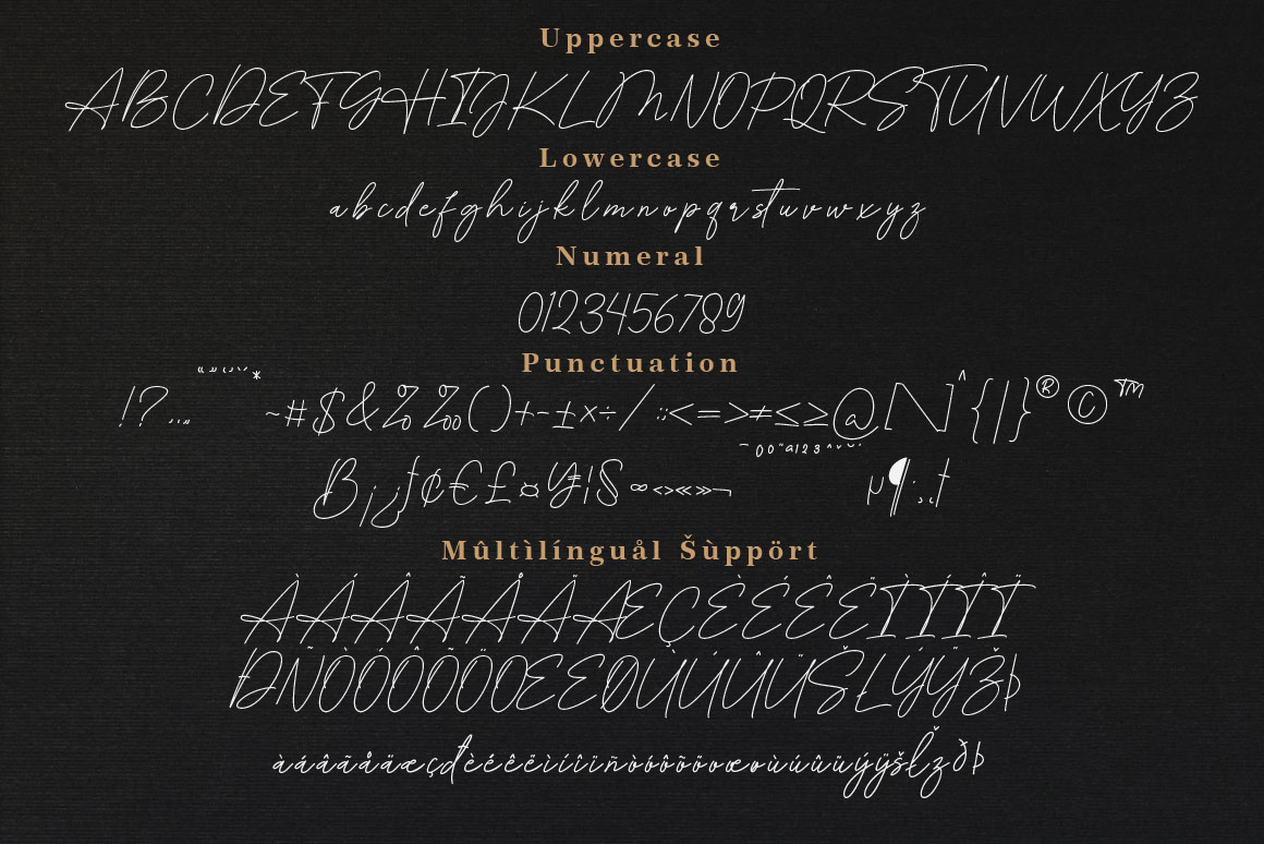 Hellena Font preview image 5