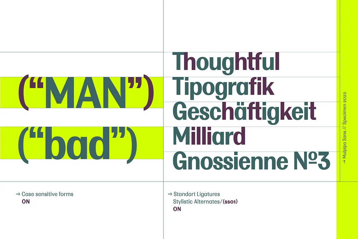 Multipa Font Family preview image 2