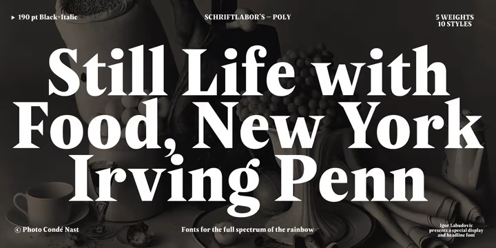 Poly Font Family preview image 4