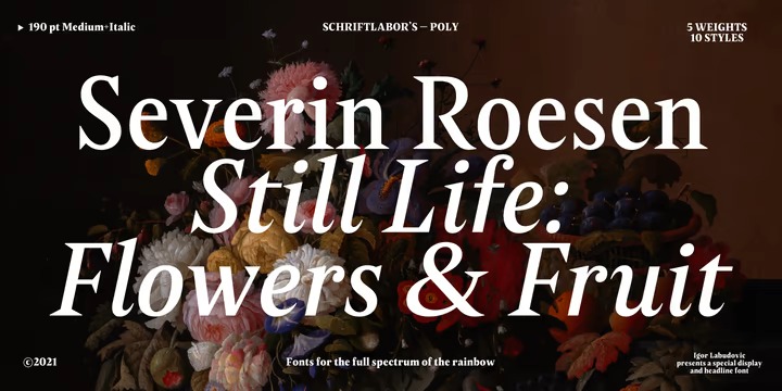 Poly Font Family preview image 2