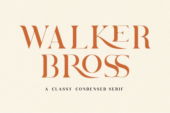 Brovile Serif Font preview image 2