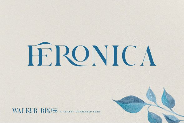 Brovile Serif Font preview image 5