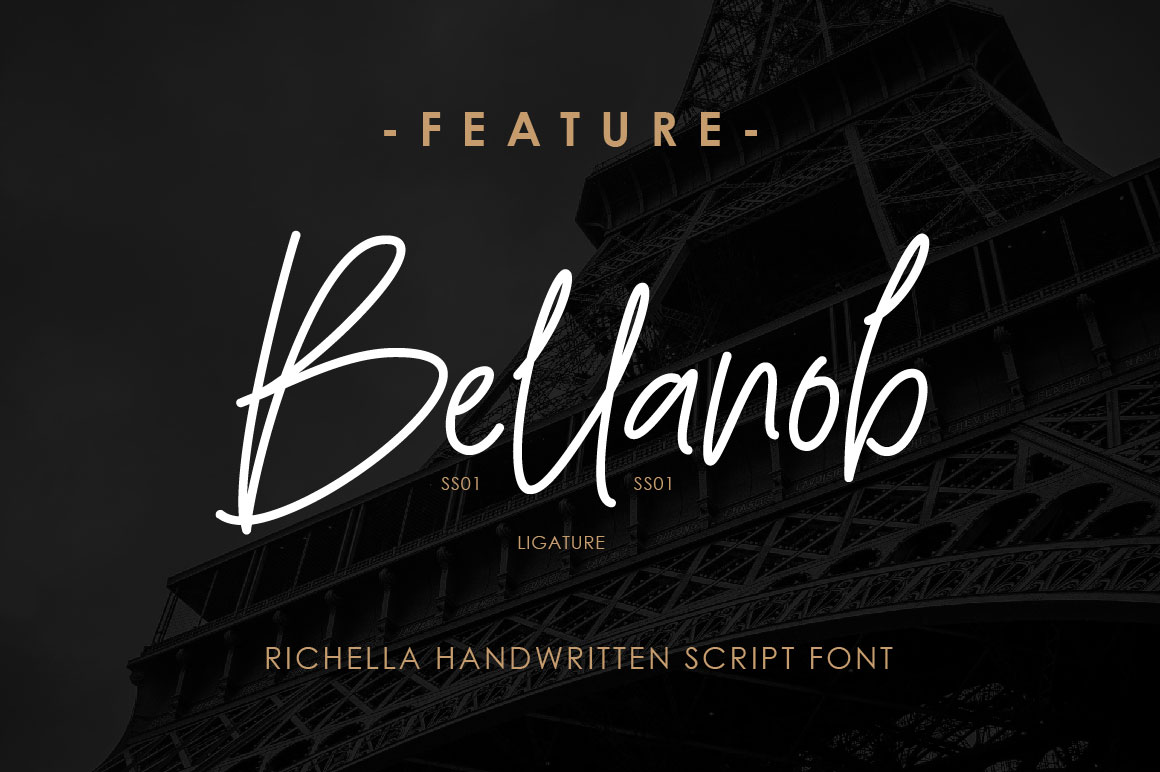 Richella Script Font preview image 4