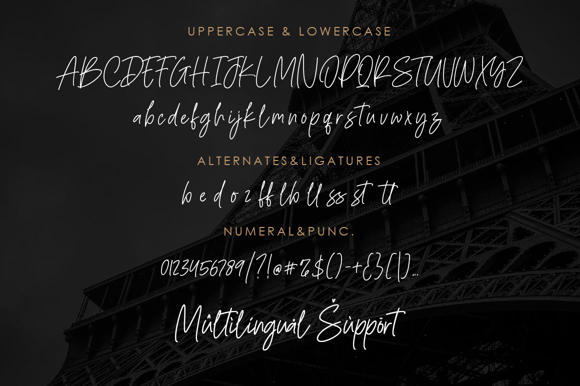 Richella Script Font preview image 5