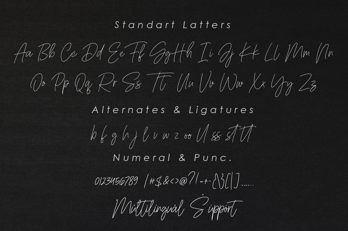 Sanderland Signature Font preview image 5