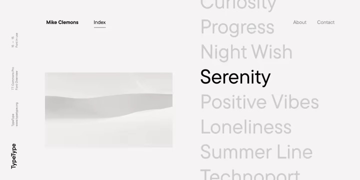 TT Commons Pro Font Family preview image 3