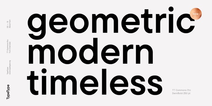 TT Commons Pro Font Family preview image 2