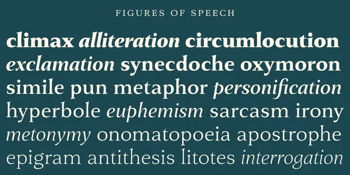 Fielding Font Family preview image 3