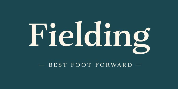 Fielding Font Family preview image 1